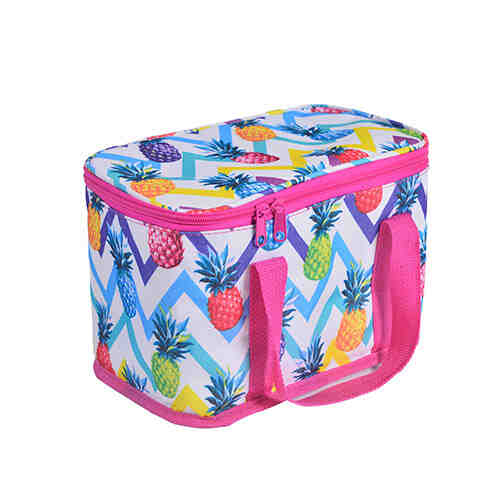 Easy carry cute 6 cans lunch cooler bag WD2-104B