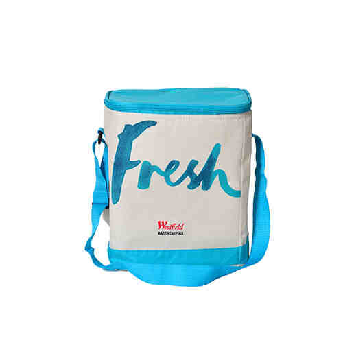 Good quality insulated cooler bag with shoulder belt WD2-112